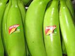 Bananes Covendich douce de table Grade A - photo 1