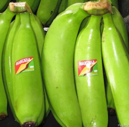 Bananes Covendich douce de table Grade A