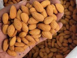 Almond Nuts For Sale
