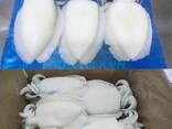 Baby cuttlefish whole frozen seafood wholesale - фото 3