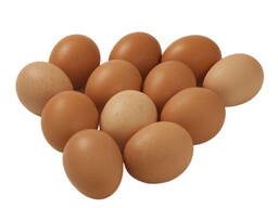 Best Quality Fresh Brown Table Chicken Eggs Cheap Fresh Chicken Table Eggs, Hatching eggs