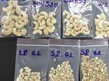Cashew Nut Size W180 W240 W320 W450/ Certified WW320 Dried Cashew for Sale - фото 3