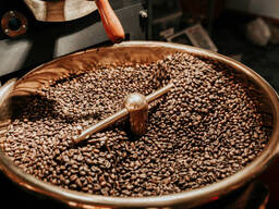Chicchi di caffè Arabica/ Chicchi di caffè Robusta