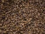 Chicchi di caffè Arabica/ Chicchi di caffè Robusta - фото 1