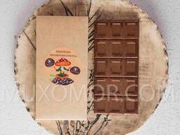 Cioccolato VEGAN ai funghi. 100 g - 15 tessere/Мухоморний ВЕГАН-шоколад. 100 г - 15 плиток