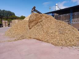 Cippato legno di abete