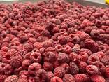 Collaborazione per la fornitura di frutti di bosco surgelati dalla Bielorussia 2025 - photo 6