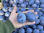 Consegne dalla Moldavia di frutta e verdura fresca.