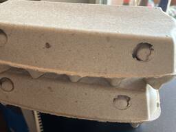 Contenitore per uova di carta sagomato 10 uova