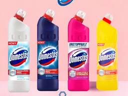 Domestos bleach 750 ml