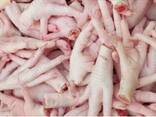 Europe Grade Brazil frozen chicken feet Brazil frozen chicken feet suppliers buy frozen ch - фото 2