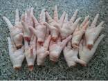 Europe Grade Brazil frozen chicken feet Brazil frozen chicken feet suppliers buy frozen ch - фото 5