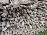 FIREWOOD, READY TO BURN! - photo 1