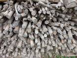 FIREWOOD, READY TO BURN! - photo 4