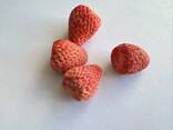 Frutta liofilizzata all'ingrosso - photo 14