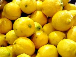 Fresh lemon fruits for sale