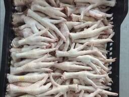 Frozen chicken feet paws in bulk for sale, chicken feet
