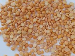 Гороховая крупа производство Казахстан