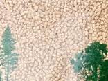 Granuli di combustibile pellet Classe Premium in pino - photo 2