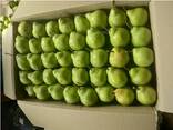 Green A Grade Fresh Pear - фото 2