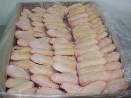 Halal Frozen - Chicken, Thigh, Back quarter, Wings , Fillet IPBF , IQF, BF. for sale