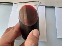 Succo di frutta concentrato