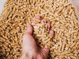 La migliore fornitura di pellet di legno in Europa