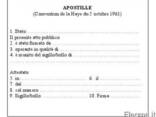 Легализация документов в Италии - фото 1