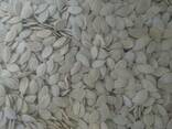 Lenticchie di fagioli semi di zucca - photo 3