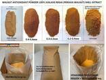 Micropolvere di guscio di noce per la produzione di ecopelle e pelle vegana - photo 2