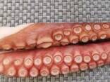 Мороженные морепродукты и рыба в Италию от завода из Китая - фото 8