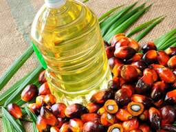 Palm Oil