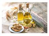 Peanuts Oil / Groundnut Oil Peanut Oil / Crude Peanut Oil on sale - фото 3