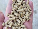 Pellet da combustibile di legno A1, pellet. Древесные топливные гранулы A1, пеллеты. - фото 3