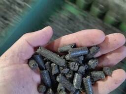 Pellet combustibile da gusci di girasole