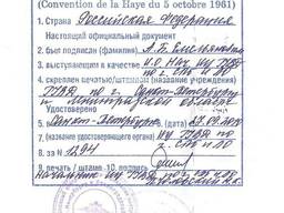 Перевод, заверение и легализация личных документов с украинского/русского