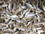 Предлагаем прямые поставки сушеной рыбы в Италию из Вьетнама от производителя - photo 3