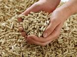 Wood pellets Enplus A1 - photo 1