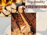 Premium quality Europe Dried Split Firewood, Kiln Dried Firewood in bags Oak fire wood - photo 1
