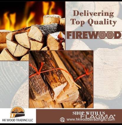 Premium quality Europe Dried Split Firewood, Kiln Dried Firewood in bags Oak fire wood