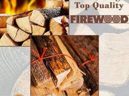 Premium quality Europe Dried Split Firewood, Kiln Dried Firewood in bags Oak fire wood