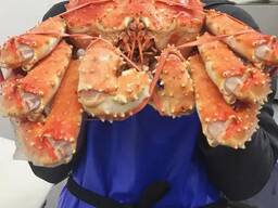 Red King Crab