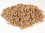 Sawdust Biomass Fuel Cheap Wood Pellets Price - photo 2