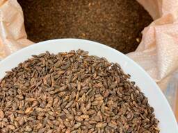 Malto di segale fermentato secco.