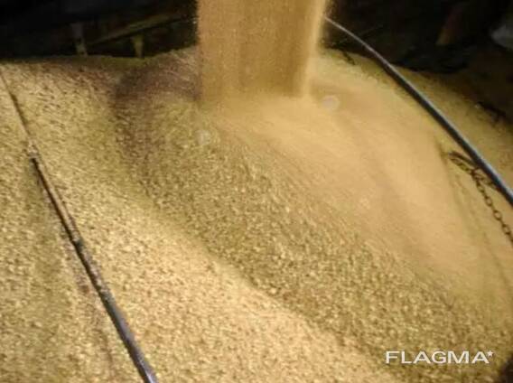Soybeans meal for animal feed