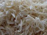Сушеный кальмар в Италию от производителя из Китая - фото 1