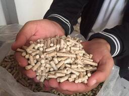 Top quality wood pellet for sale