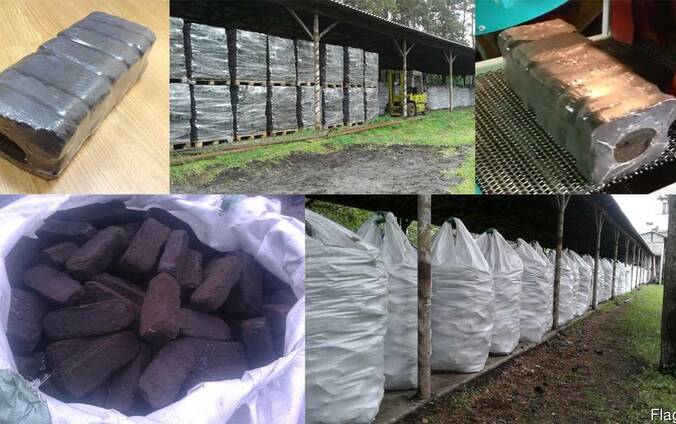 Топливные брикеты из торфа (Fuel peat briquettes)