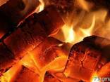 Топливные брикеты из торфа (Fuel peat briquettes) - фото 2