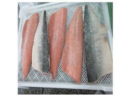 Trout Fish For Sale / Salmon From Norway - High Quality Salmon Fish / Fresh Trout Fish